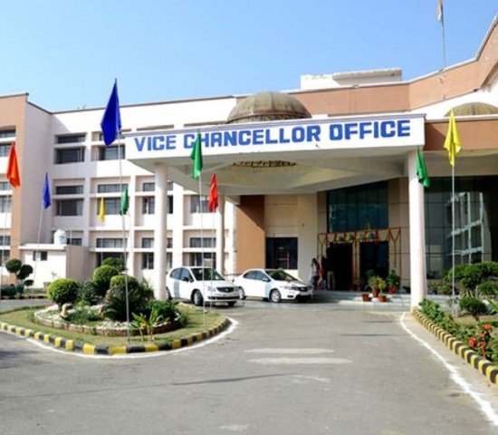 Indira Gandhi University, Rewari campus image